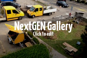 Fotos von der Lieferung von Gartenpflanzen an den Zürichsee (Rapperswil / Schweiz)