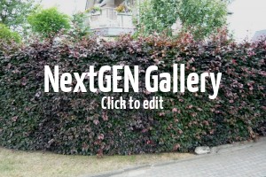 Rund ums Gärtnern – Gartengeräte, Transportmöglichkeiten uvm.