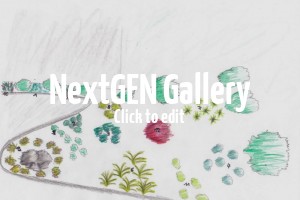 Gartenplanung mit Internetbaumschulen – Kann man mit Online-Baumschulen ganze Gärten neu planen?