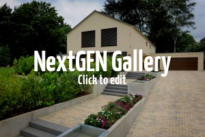 Laubgehölze für seitliche Bepflanzung der Auffahrt gesucht – Empfehlungen?