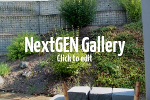 Empfehlungen für Hangbepflanzung gesucht: Abwechslungsreich und pflegeleicht