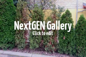 Thuja Smaragd werden braun – Ursachen und Gegenmaßnahmen?