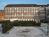 Taxus Baccata Magdeburg