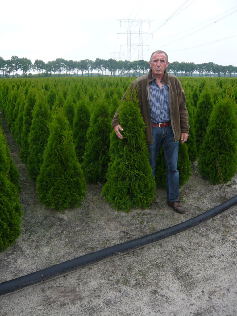 dünger für thuja pflanzen Koniferen Dünger von Flora Boost | 200L Ergiebigkeit main image 1