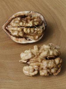 Edelnuss ’Plovdivski‘ / Juglans regia ’Plovdivski‘