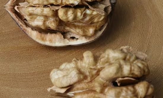 Edelnuss ’Plovdivski‘ / Juglans regia ’Plovdivski‘